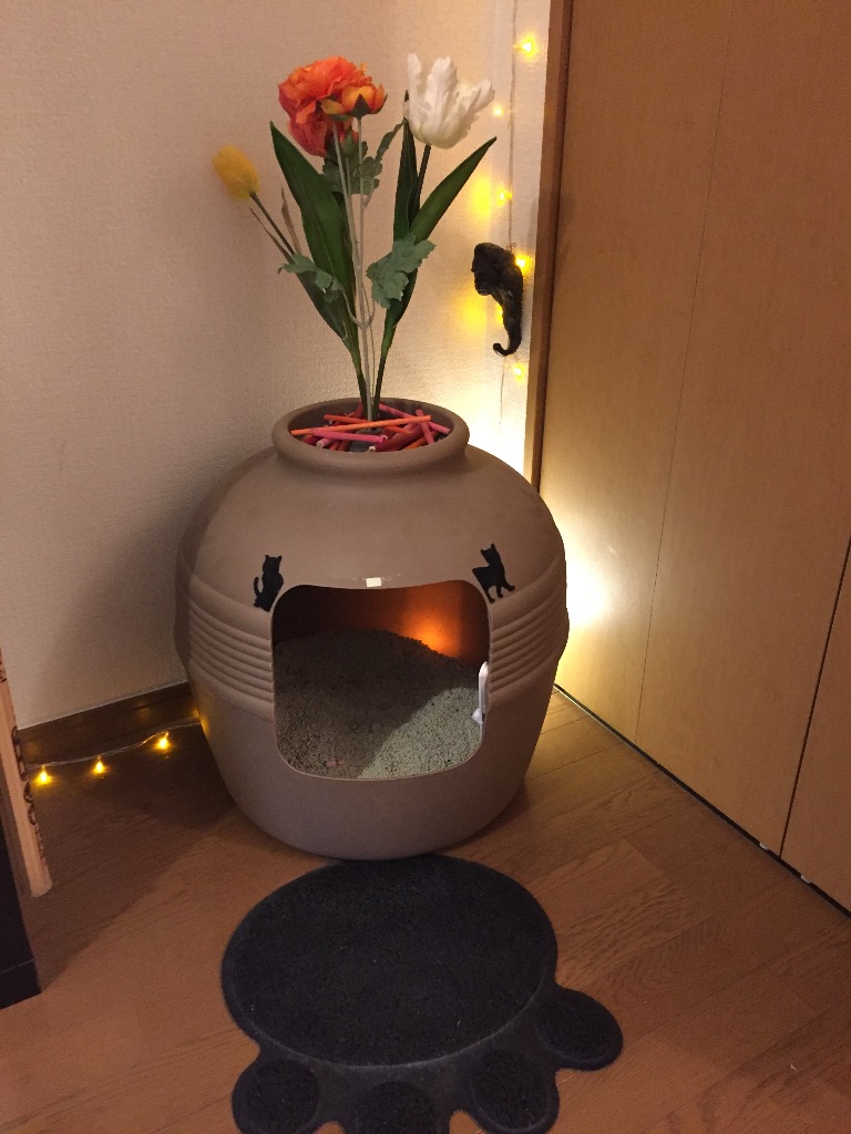 誰でもできる日常的な愛猫ちゃんの健康チェック〜トイレ編〜