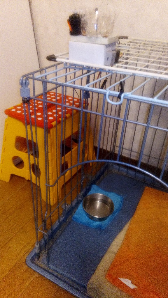 ワンちゃん喜ぶパブロフ式自動餌やり装置